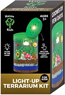 Light-Up Dinosaur Terrarium Kit for Kids - Kids Birthday Gifts for Kids - Dinosaur Toys & Activities Kits Presents - Arts & Crafts Stuff for Boys & Little Girls Age 3 4 5 6 7 8-10 Year Old Boy Gifts