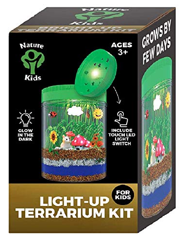 Light-Up Dinosaur Terrarium Kit for Kids - Kids Birthday Gifts for Kids - Dinosaur Toys & Activities Kits Presents - Arts & Crafts Stuff for Boys & Little Girls Age 3 4 5 6 7 8-10 Year Old Boy Gifts